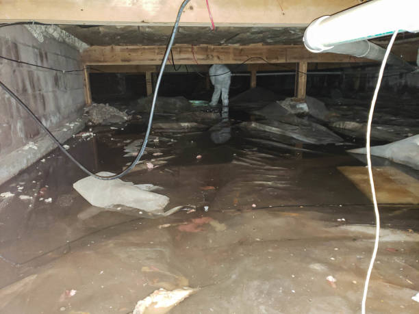 Professional Water damage restoration in Yardley, PA